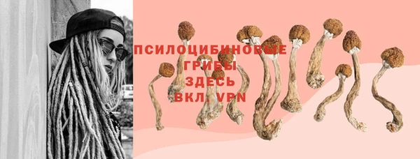герыч Козловка